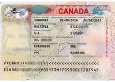 外服留学:祝贺许同学获得加拿大留学签证